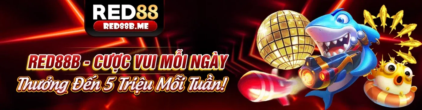 Sảnh Đá Gà Trực Tiếp ok6666