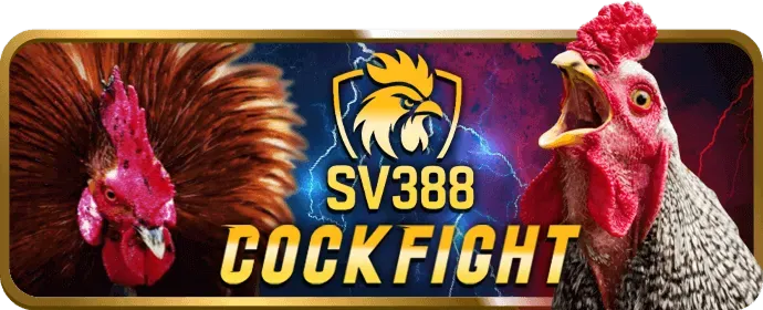 Xác minh và bảo mật tài khoản ok6666